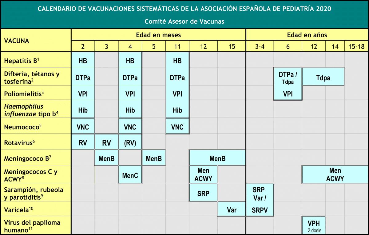 La traducción jurada de la cartilla de vacunación.