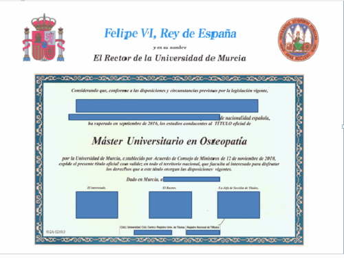 La traducción jurada a inglés de un título de máster.