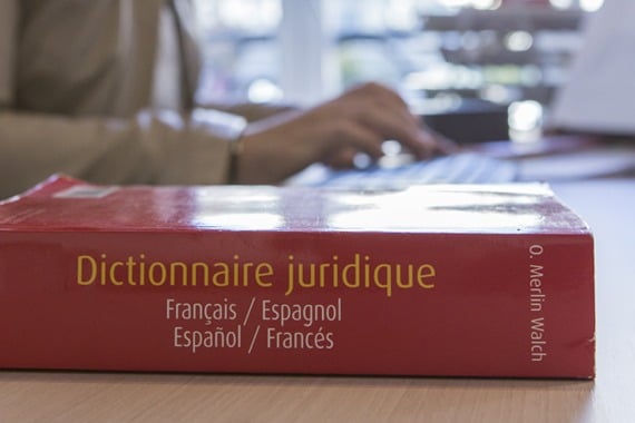 El traductor jurado de francés.