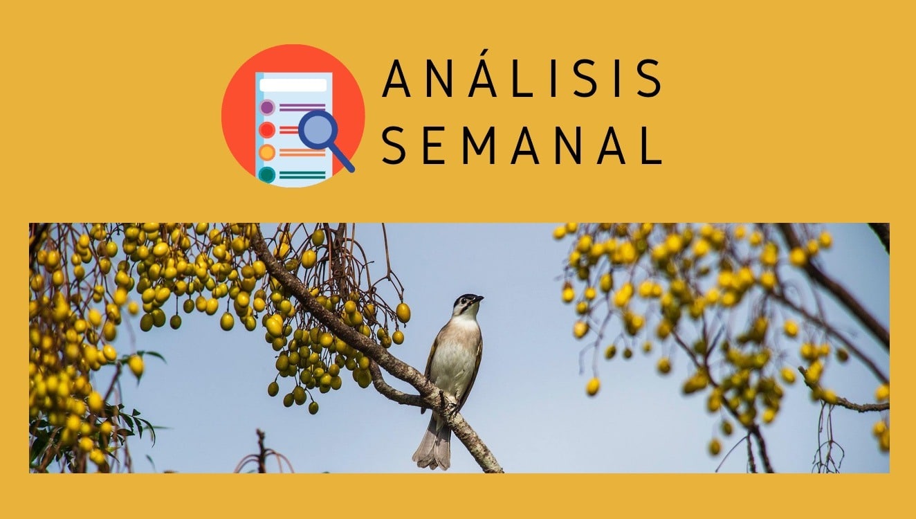 ANALIZAMOS-LAS-PALABRAS-DE-LA-SEMANA-MELIA-LIBRO-Y-REGADIO
