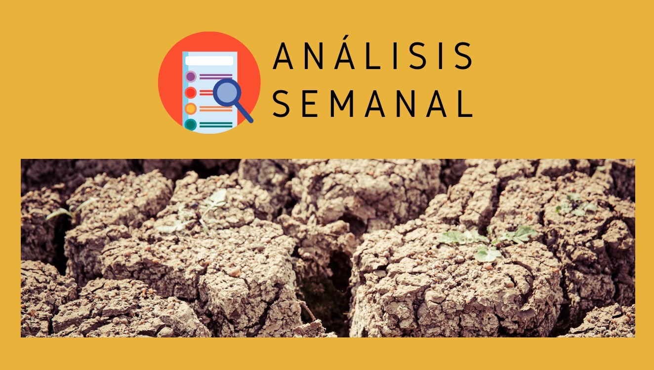 ANALIZAMOS-LAS-PALABRAS-DE-LA-SEMANA-MORENETA-SEQUÍA-Y-OKUPA